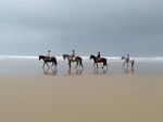 Horse Riding Programme with a Personalised English Course (All Levels) - Sports and English Camp